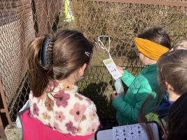 Fotografie img-0836jpg_original.jpg