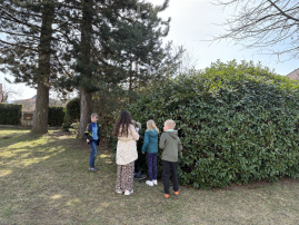 Fotografie img-0845png_original.png