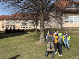 Fotografie strom_original.png