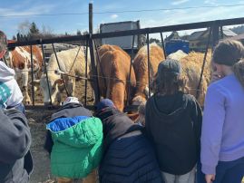 Fotografie img-9829_original.jpeg