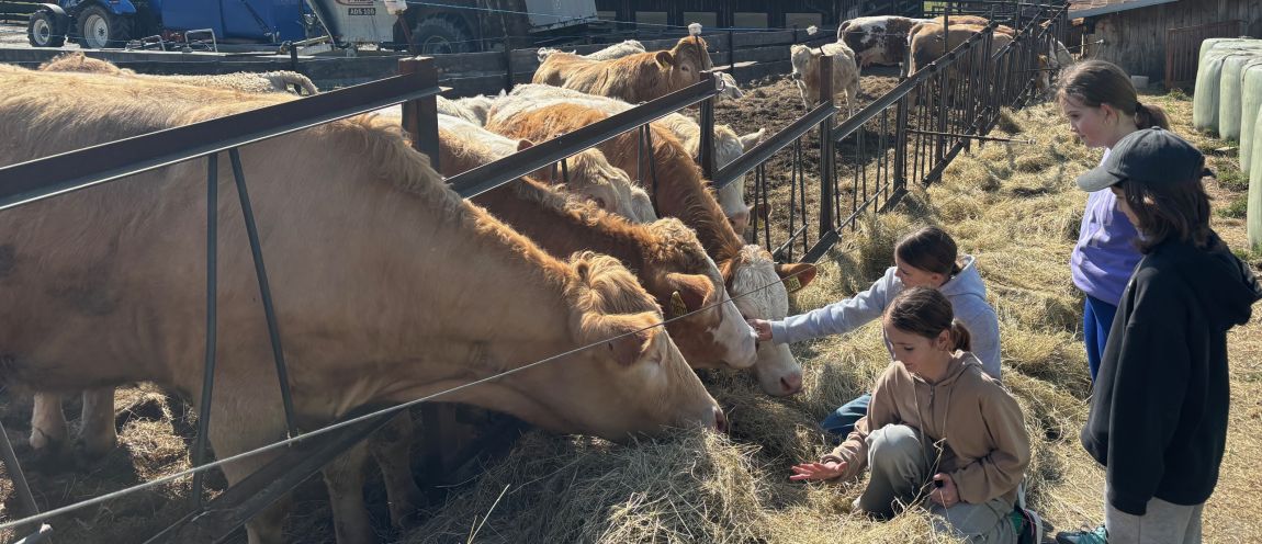 Čtvrťáci na farmě