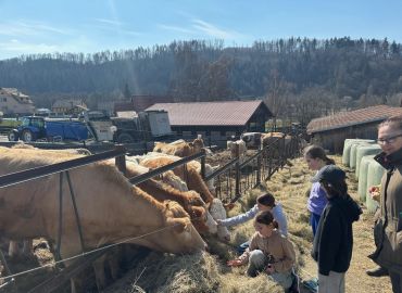 Obrázek k aktualitě Čtvrťáci na farmě