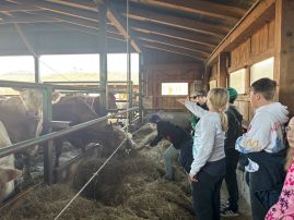 Fotografie img-9838_original.jpeg