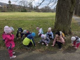 Fotografie 20260324-1025171_original.jpg