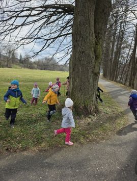 Fotografie 20260324-1025361_original.jpg