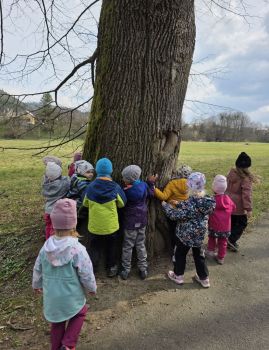 Fotografie 20260324-1026591_original.jpg