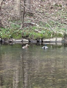 Fotografie 20260324-104026_original.jpg