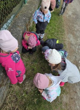 Fotografie 20260324-1050331_original.jpg