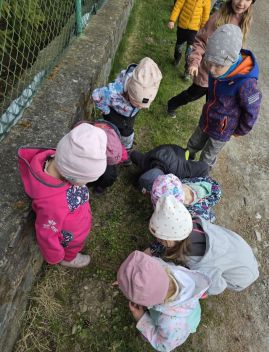 Fotografie 20260324-1050361_original.jpg