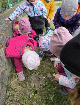 Fotografie 20260324-1050431_original.jpg