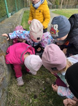 Fotografie 20260324-1050461_original.jpg