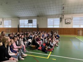 Fotografie img-7260_original.jpg