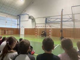 Fotografie img-7264_original.jpg