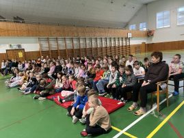 Fotografie img-7265_original.jpg