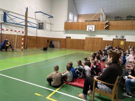 Fotografie img-7268_original.jpg