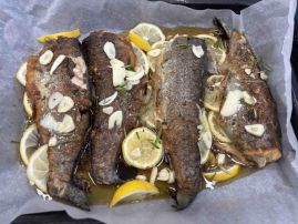 Fotografie 10_original.jpeg