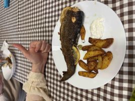 Fotografie 11_original.jpeg