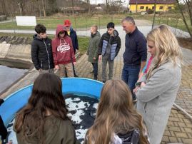 Fotografie 1_original.jpeg