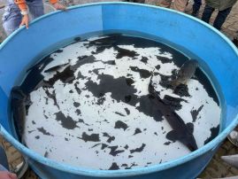 Fotografie 2_original.jpeg