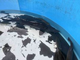 Fotografie 3_original.jpeg