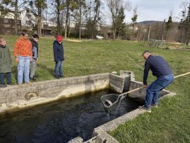 Fotografie 4_1_original.jpeg