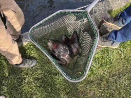 Fotografie 5_original.jpeg