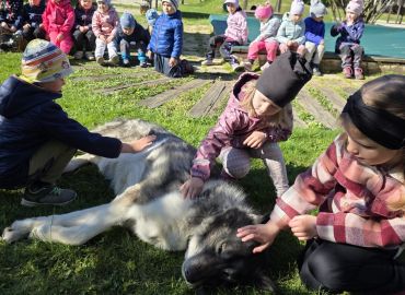 Obrázek k aktualitě Edukační program s grónským psem