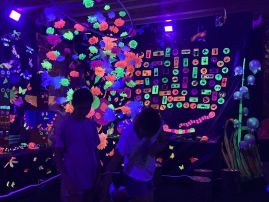 Fotografie img-2498_original.jpg