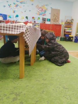 Fotografie img-20251103-140929_original.jpg