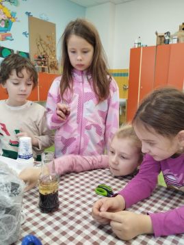 Fotografie img-20251120-115500_original.jpg