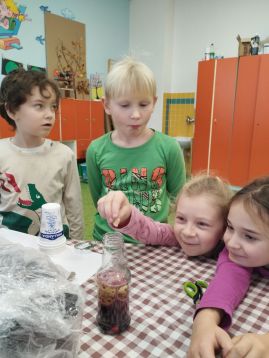 Fotografie img-20251120-115535_original.jpg