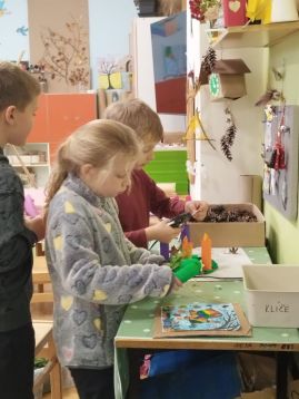 Fotografie img-20251124-130127_original.jpg