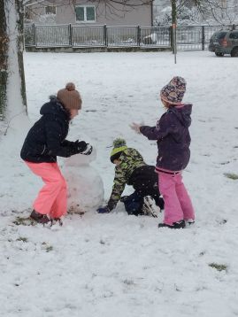 Fotografie img-20251126-134608_original.jpg