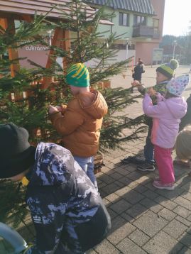 Fotografie img-20251204-134028_original.jpg