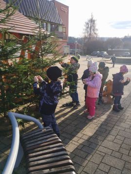 Fotografie img-20251204-134036_original.jpg