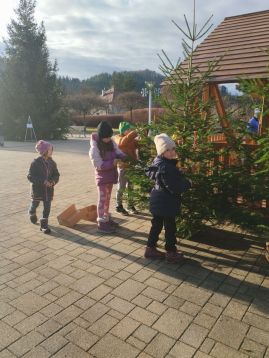 Fotografie img-20251204-134300_original.jpg