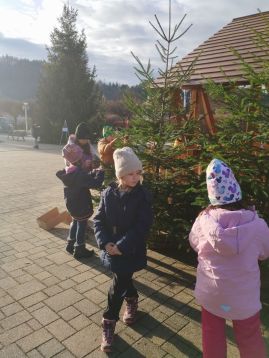 Fotografie img-20251204-134304_original.jpg