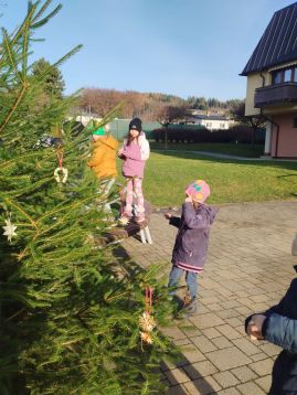 Fotografie img-20251204-134413_original.jpg