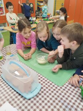 Fotografie img-20251209-115604_1_original.jpg