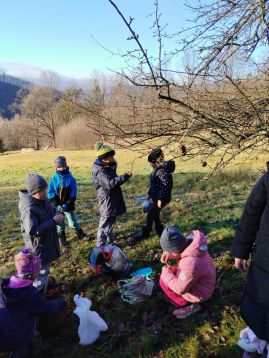 Fotografie img-20251215-133640_original.jpg