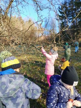 Fotografie img-20251215-133700_original.jpg