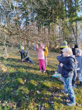 Fotografie img-20251215-133708_original.jpg