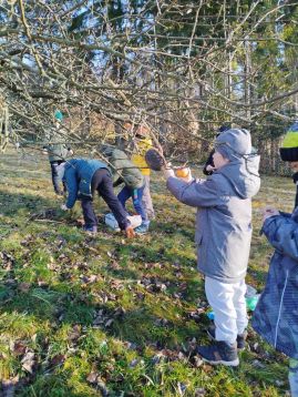 Fotografie img-20251215-133728_original.jpg