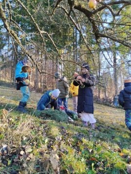 Fotografie img-20251215-133756_original.jpg