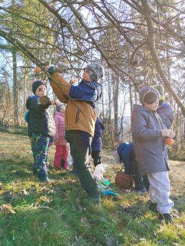 Fotografie img-20251215-133828_original.jpg