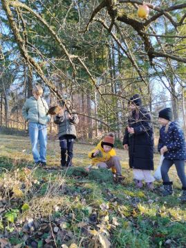 Fotografie img-20251215-133832_original.jpg