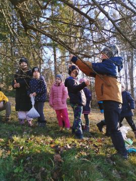 Fotografie img-20251215-133836_original.jpg