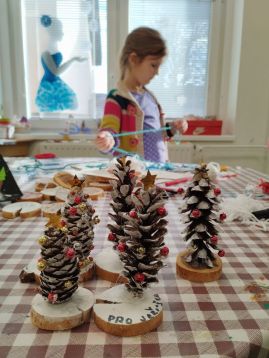 Fotografie img-20251218-124413_original.jpg