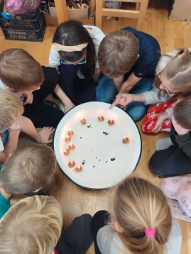 Fotografie img-20251219-115256_original.jpg