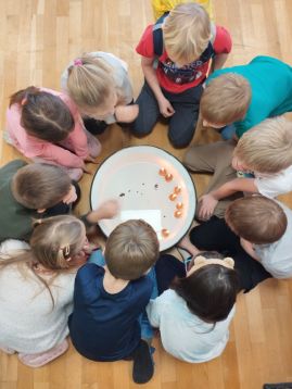 Fotografie img-20251219-115314_original.jpg